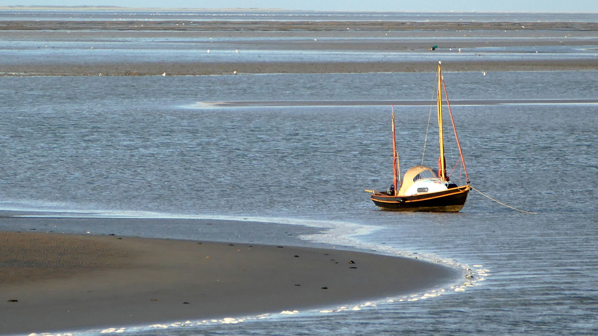 Picaud Laurent Schiermonnikoog1