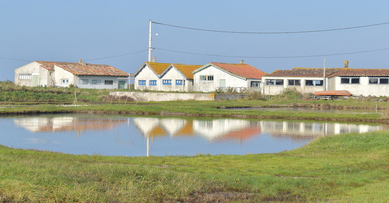 Cabanes Ostréicoles- Christine